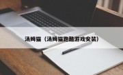 汤姆猫（汤姆猫跑酷游戏安装）