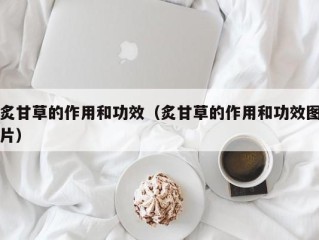 炙甘草的作用和功效（炙甘草的作用和功效图片）
