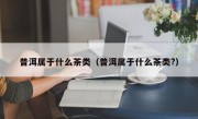 普洱属于什么茶类（普洱属于什么茶类?）