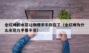 全红婵的水花让物理学不存在了（全红婵为什么水花几乎看不见）