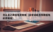 怎么自己降低龟灵敏度（日常训练怎样降低龟的灵敏度）
