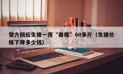 警方回应生猪一夜“暴瘦”60多斤（生猪价格下降多少钱）