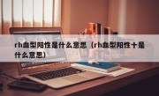 rh血型阳性是什么意思（rh血型阳性十是什么意思）
