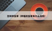 怎样种虫草（种植的虫草有什么功效）