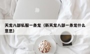 天龙八部私服一条龙（新天龙八部一条龙什么意思）