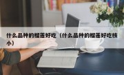 什么品种的榴莲好吃（什么品种的榴莲好吃核小）