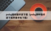 pubg国际服手游下载（pubg国际服手游下载苹果手机下载）