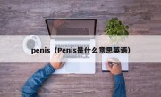 penis（Penis是什么意思英语）
