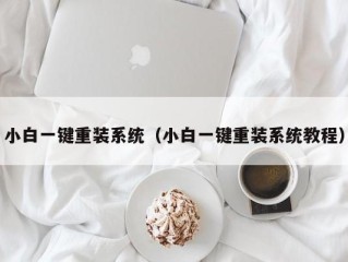 小白一键重装系统（小白一键重装系统教程）