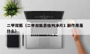 二甲双胍（二甲双胍恩格列净片1 副作用是什么）