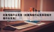 比翼鸟指什么生肖（比翼鸟指什么生肖花姑子是什么生肖）