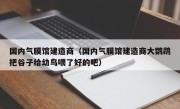 国内气膜馆建造商（国内气膜馆建造商大鹦鹉把谷子给幼鸟喂了好的吧）