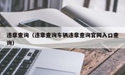 违章查询（违章查询车辆违章查询官网入口查询）