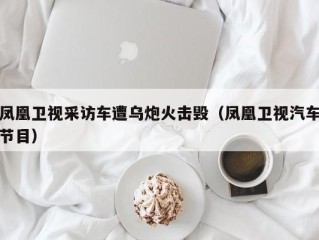 凤凰卫视采访车遭乌炮火击毁（凤凰卫视汽车节目）