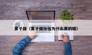 董子健（董子健孙怡为什么离的婚）