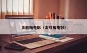 金瓶梅电影（金瓶梅电影）