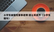 小学生被撞死肇事老师:曾让其离开（小学生撞车）