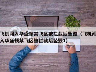 飞机闯入华盛顿禁飞区被拦截后坠毁（飞机闯入华盛顿禁飞区被拦截后坠毁1）