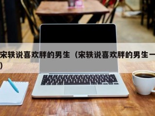 宋轶说喜欢胖的男生（宋轶说喜欢胖的男生一）