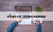 荷花图片大全（荷花图片大全简笔画）
