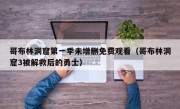哥布林洞窟第一季未增删免费观看（哥布林洞窟3被解救后的勇士）