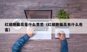 红细胞偏高是什么意思（红细胞偏高有什么危害）