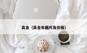 高合（高合车图片及价格）