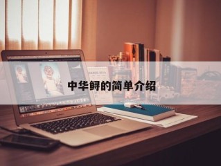 中华鲟的简单介绍