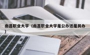 南昌职业大学（南昌职业大学是公办还是民办）