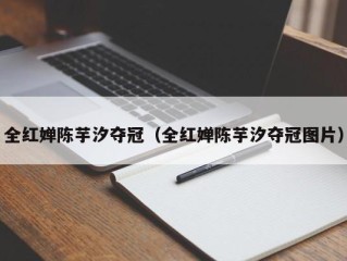 全红婵陈芋汐夺冠（全红婵陈芋汐夺冠图片）