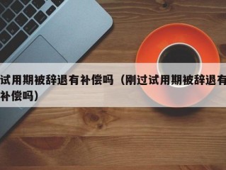 试用期被辞退有补偿吗（刚过试用期被辞退有补偿吗）