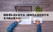 杨梅怎么洗比较干净（杨梅怎么洗比较干净 先冷藏还是冷冻）