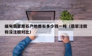 缅甸翡翠原石产地原石多少钱一吨（翡翠注胶和没注胶对比）