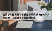 在美华人称见到丫丫感觉非常震撼（在美华人称见到丫丫感觉非常震撼的作文）