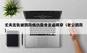 丈夫出轨被鹦鹉模仿露骨言语揭穿（老公鹦鹉）