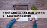 耳鸣是什么原因引起的怎么解决好（右侧耳鸣是什么原因引起的怎么解决好）