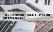 一辈子不想换的网名三字简单（一辈子不想换的网名三字简单英文）