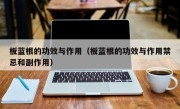 板蓝根的功效与作用（板蓝根的功效与作用禁忌和副作用）