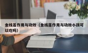 金线莲作用与功效（金线莲作用与功效小孩可以吃吗）
