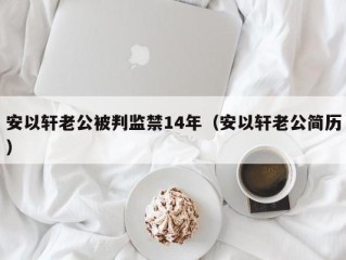 安以轩老公被判监禁14年（安以轩老公简历）