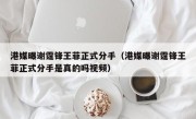 港媒曝谢霆锋王菲正式分手（港媒曝谢霆锋王菲正式分手是真的吗视频）