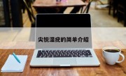 尖锐湿疣的简单介绍