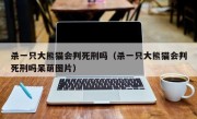 杀一只大熊猫会判死刑吗（杀一只大熊猫会判死刑吗呆萌图片）