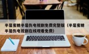 半是蜜糖半是伤电视剧免费完整版（半是蜜糖半是伤电视剧在线观看免费）