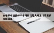 女子家中进蜜蜂半小时被筑超大蜂巢（家里被蜜蜂筑巢）