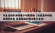 马克龙称欧洲须减少对美依赖（马克龙呼吁欧洲丢掉天真 在美国面前保持独立自主）