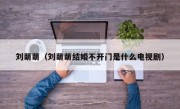 刘萌萌（刘萌萌结婚不开门是什么电视剧）
