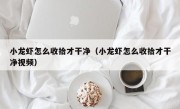 小龙虾怎么收拾才干净（小龙虾怎么收拾才干净视频）