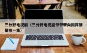 三分野电视剧（三分野电视剧爷爷帮向园撑腰是哪一集）