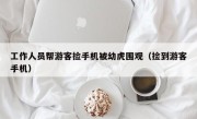 工作人员帮游客捡手机被幼虎围观（捡到游客手机）